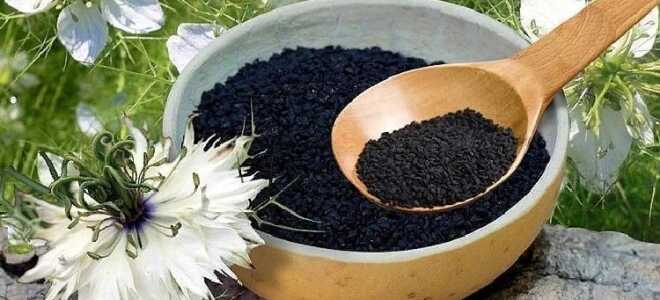 Масло черного тмина для женщин для лечения, профилактики косметологических и гинекологических проблем